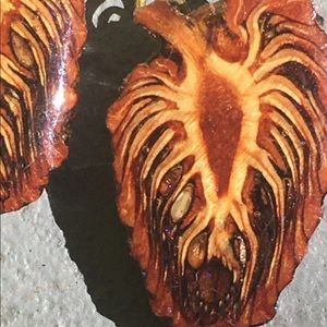 Beautiful natural pinecone earrings